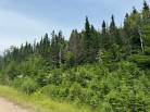 1 - Terrain et terre à vendre, Les Éboulements (Code - eb293, Charlevoix)