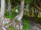 63 - Maison à vendre, La Malbaie (Code - mb427, Charlevoix)