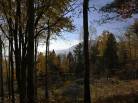 10 - Terrain et terre à vendre, Baie-Saint-Paul (Code - sp908, Charlevoix)