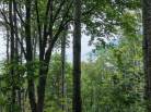 2 - Terrain et terre à vendre, Baie-Saint-Paul (Code - sp908, Charlevoix)