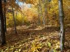 7 - Terrain et terre à vendre, Baie-Saint-Paul (Code - sp908, Charlevoix)