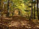 8 - Terrain et terre à vendre, Baie-Saint-Paul (Code - sp908, Charlevoix)