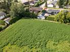 7 - Lot and land for sale, Baie-Saint-Paul (Code - sp776, Charlevoix)