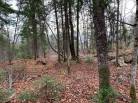1 - Terrain et terre à vendre, Petite-Rivière-Saint-François (Code - pr817, Charlevoix)