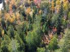 4 - Terrain et terre à vendre, Petite-Rivière-Saint-François (Code - pr859, Charlevoix)
