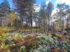 3 - Lot and land for sale, Saint-Siméon (Code - ss071, Charlevoix)