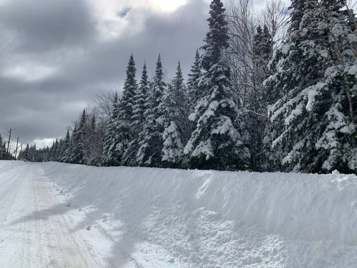Terrain et terre à vendre - Petite-Rivière-Saint-François, Charlevoix (PR762)