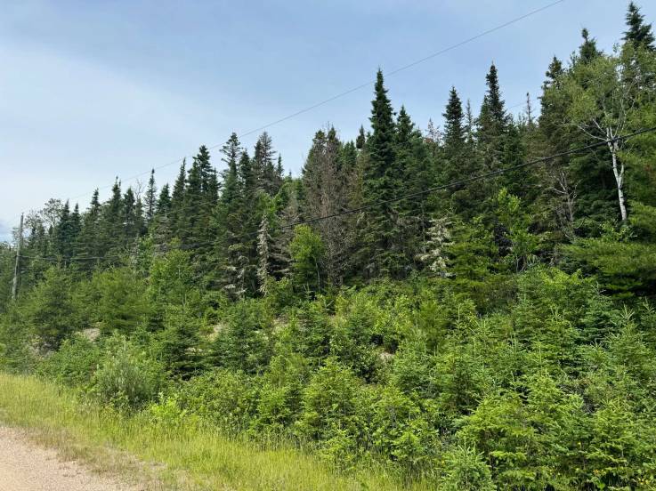 Terrain et terre à vendre - Les Éboulements, Charlevoix (EB293)