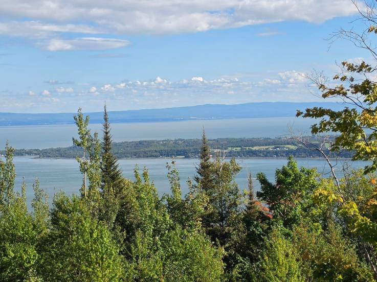 Terrain et terre à vendre - Les Éboulements, Charlevoix (EB321)