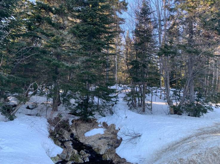 Terrain et terre à vendre - Petite-Rivière-Saint-François, Charlevoix (PR783)