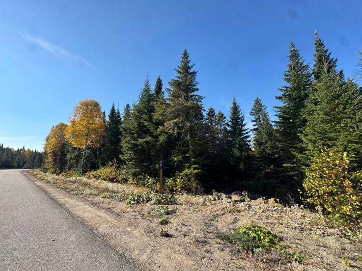 Lot and land for sale - Baie-Saint-Paul, Charlevoix (SP901)