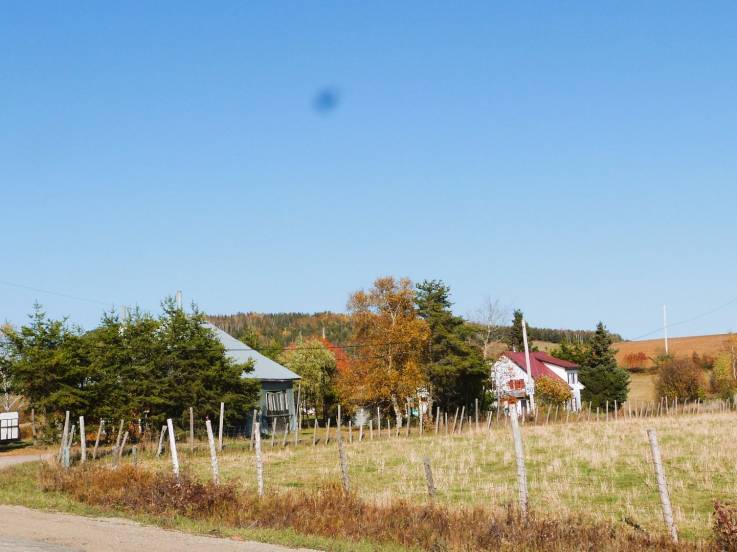 Maison à vendre - Saint-Hilarion, Charlevoix (SH045)