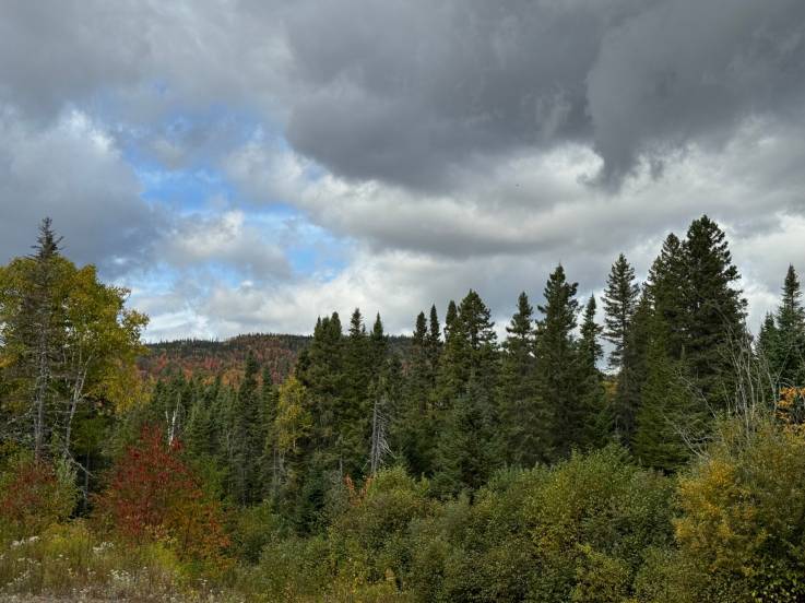 Lot and land for sale - Petite-Rivière-Saint-François, Charlevoix (PR828)
