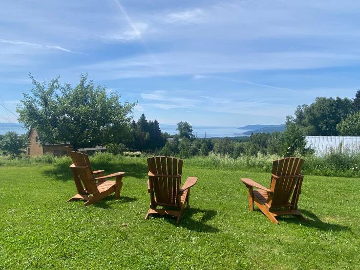 Terrain et terre à vendre - La Malbaie, Charlevoix (MB413)