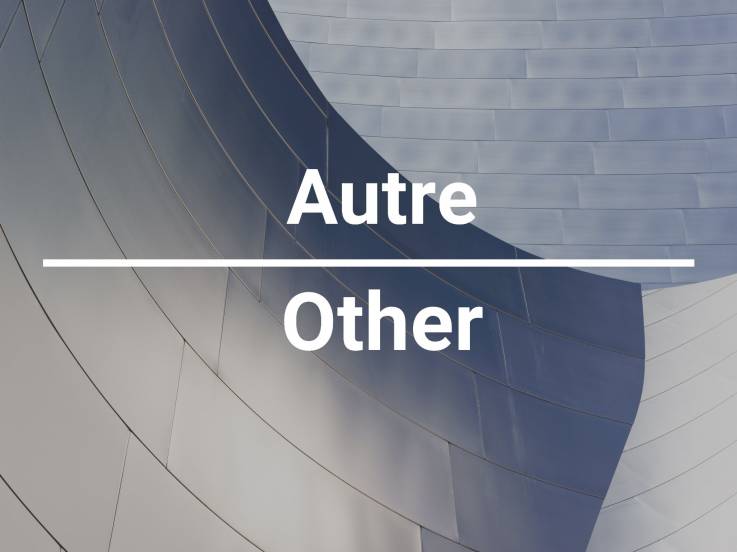 Commercial for sale - Saint-Hilarion, Charlevoix (SH046)