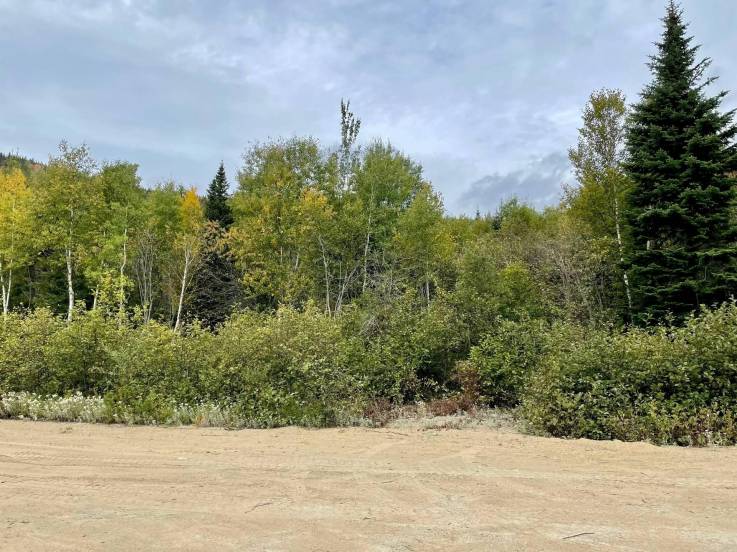 Terrain et terre à vendre - Petite-Rivière-Saint-François, Charlevoix (PR795)