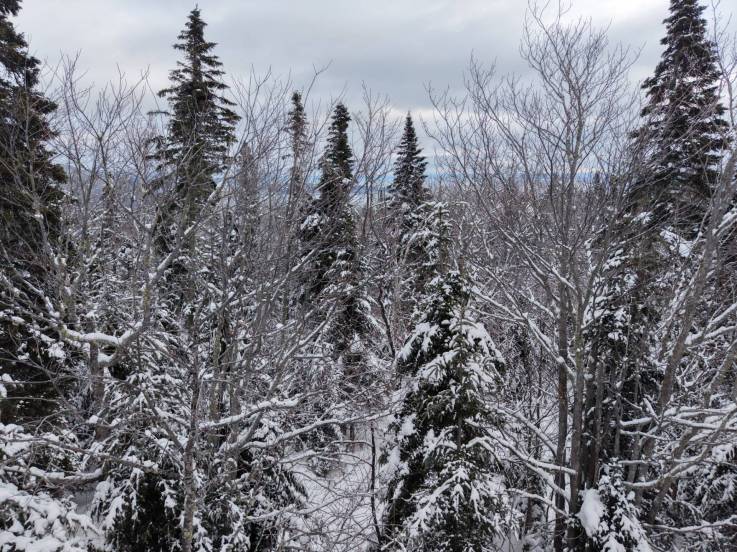 Lot and land for sale - Petite-Rivière-Saint-François, Charlevoix (PR835)
