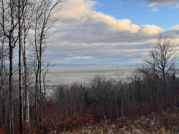 Terrain et terre à vendre - Petite-Rivière-Saint-François, Charlevoix (PR789)