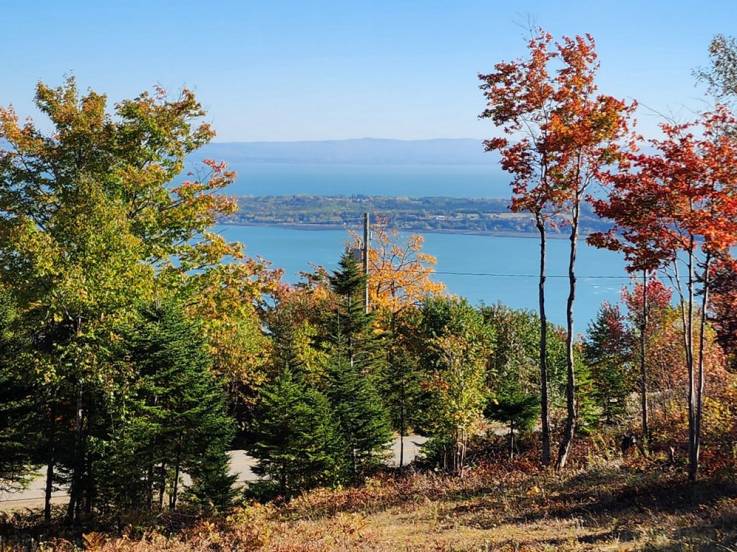 Lot and land for sale - Les Éboulements, Charlevoix (EB310)
