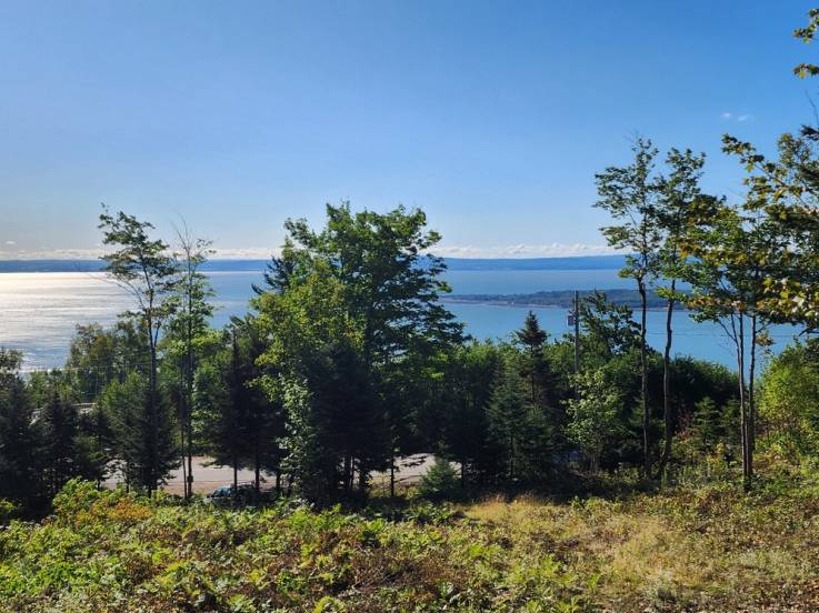Terrain et terre à vendre - Les Éboulements, Charlevoix (EB310)
