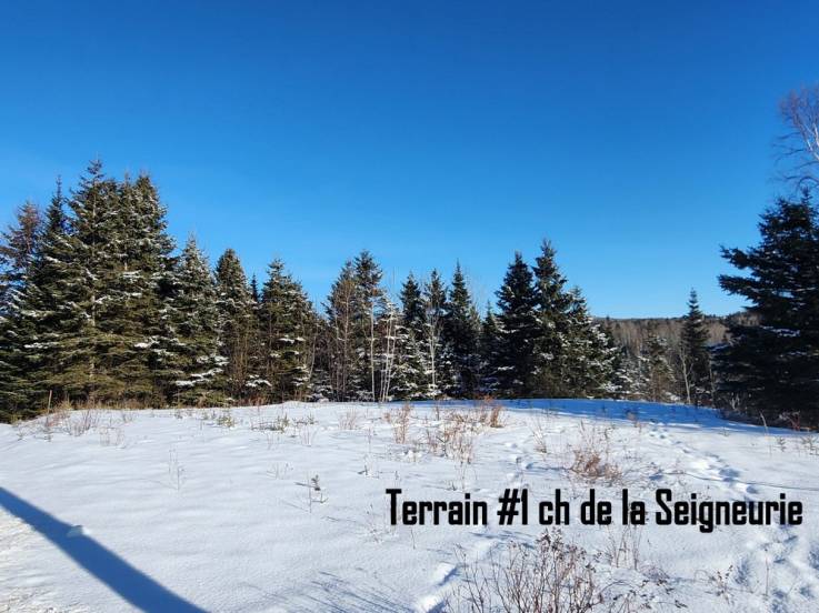 Terrain et terre à vendre - Les Éboulements, Charlevoix (EB303)