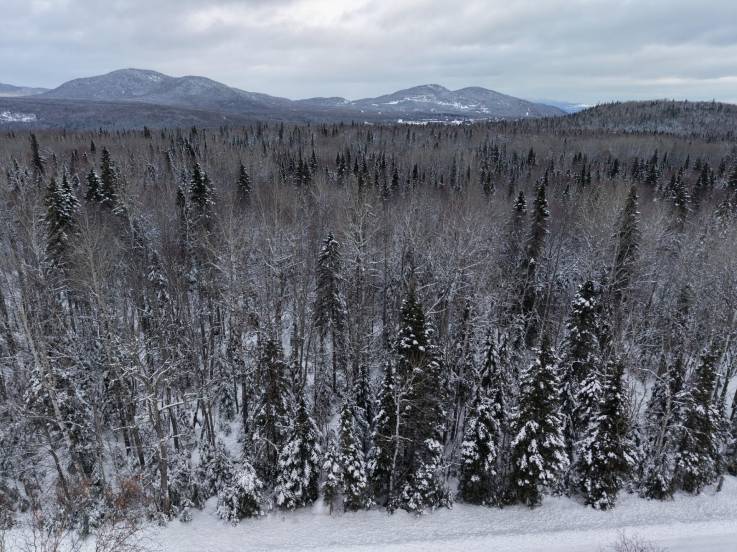 Lot and land for sale - Petite-Rivière-Saint-François, Charlevoix (PR836)