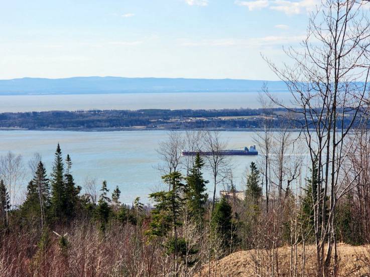 Terrain et terre à vendre - Les Éboulements, Charlevoix (EB290)