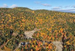 Details - Lot and land for sale (Code PR867)