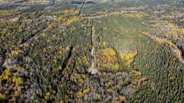 Details - Lot and land for sale (Code MB428)