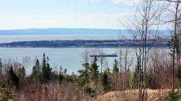 Details - Lot and land for sale (Code EB335)