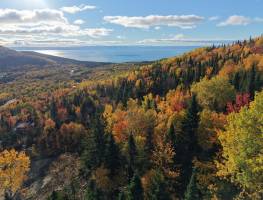 Details - Lot and land for sale (Code PR874)