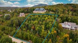 Details - Lot and land for sale (Code PR856)