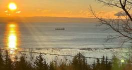 Details - House for sale (Code PR842)