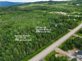 Details - Lot and land for sale (Code MB414)