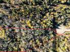 2 - Terrain et terre à vendre, La Malbaie (Code - mb416, Charlevoix)