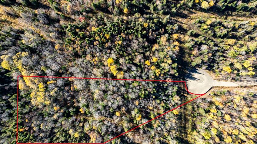 2 - Terrain et terre à vendre, La Malbaie (Code - mb416, Charlevoix)