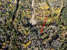 7 - Terrain et terre à vendre, La Malbaie (Code - mb416, Charlevoix)
