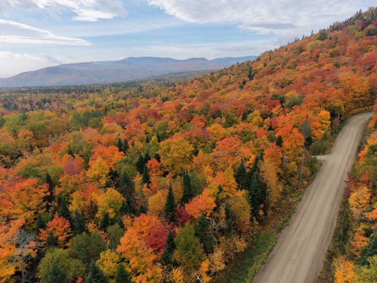 1 - Terrain et terre à vendre, Petite-Rivière-Saint-François (Code - pr863, Charlevoix)
