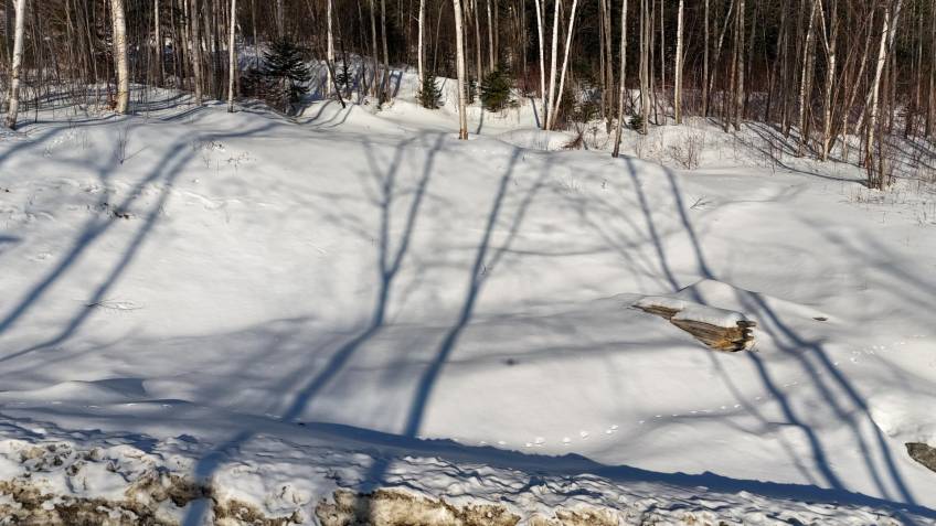 2 - Terrain et terre à vendre, Baie-Saint-Paul (Code - sp916, Charlevoix)