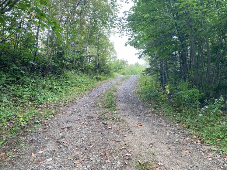 31 - House for sale, Saint-Irénée (Code - si178, Charlevoix)