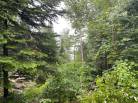 7 - Lot and land for sale, Petite-Rivière-Saint-François (Code - pr852, Charlevoix)
