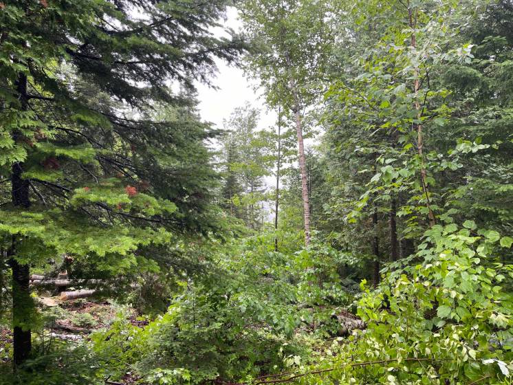 7 - Lot and land for sale, Petite-Rivière-Saint-François (Code - pr852, Charlevoix)