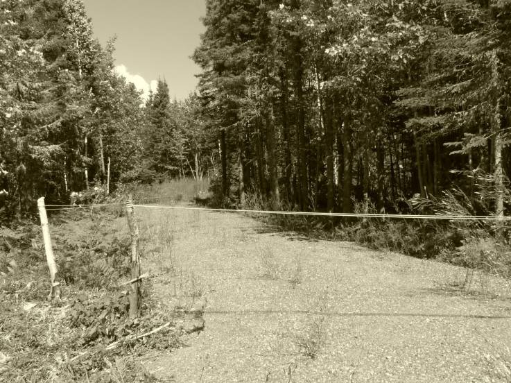 Lot and land for sale - Petite-Rivière-Saint-François, Charlevoix (PR858)