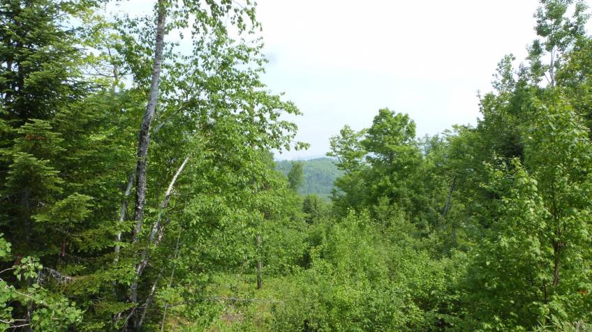 1 - Lot and land for sale, Petite-Rivière-Saint-François (Code - pr812, Charlevoix)