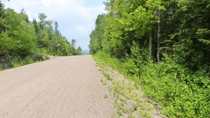 2 - Lot and land for sale, Petite-Rivière-Saint-François (Code - pr812, Charlevoix)