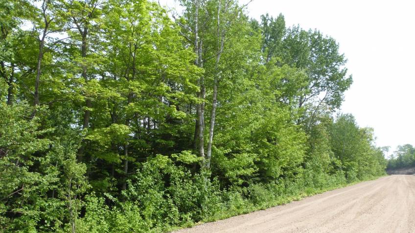 3 - Lot and land for sale, Petite-Rivière-Saint-François (Code - pr812, Charlevoix)