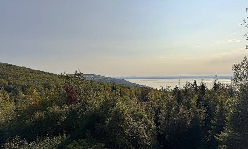 24 - Maison à vendre, Les Éboulements (Code - eb315, Charlevoix)