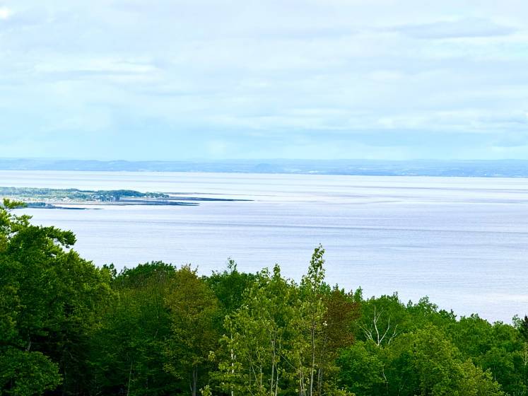 1 - Lot and land for sale, Petite-Rivière-Saint-François (Code - pr811, Charlevoix)