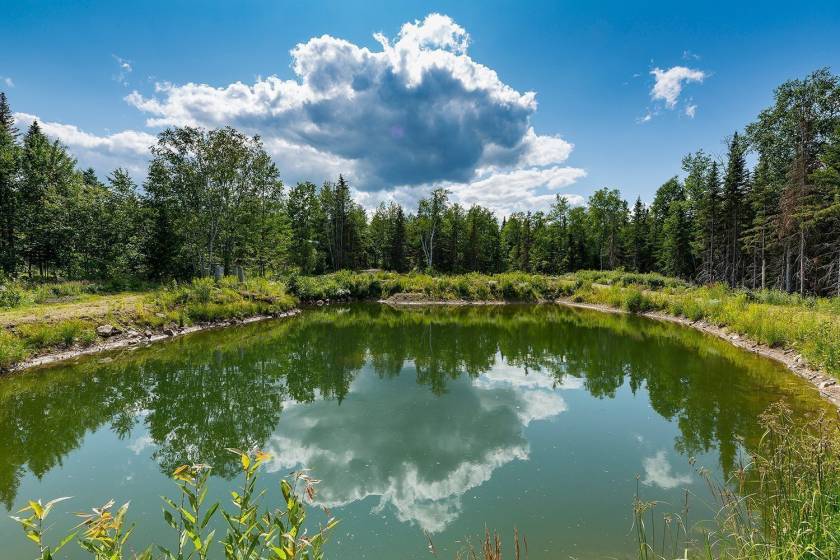 33 - House for sale, Saint-Urbain (Code - su081, Charlevoix)