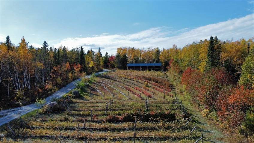 33 - House for sale, Saint-Urbain (Code - su081, Charlevoix)